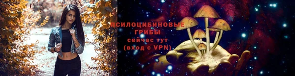 Альфа ПВП Богданович