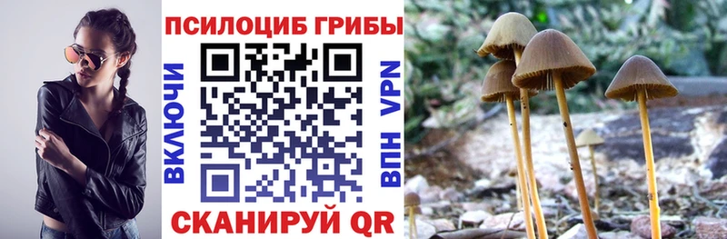 Галлюциногенные грибы прущие грибы  Елизово 