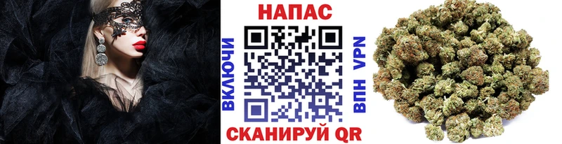 Конопля план  blacksprut tor  Елизово 